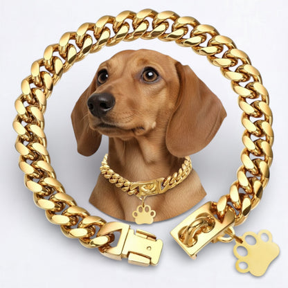 LuxePaw-Dachshund-Cuban-Collar.jpg