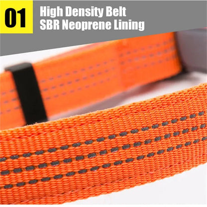 Luxeen-Dachshund-LED-Collar.jpg