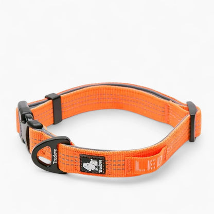 Luxeen-Dachshund-LED-Collar.jpg