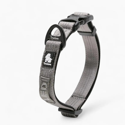 Luxeen-Dachshund-LED-Collar.jpg