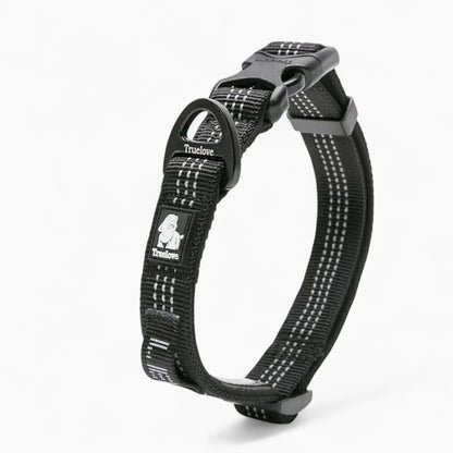 Luxeen-Dachshund-LED-Collar.jpg