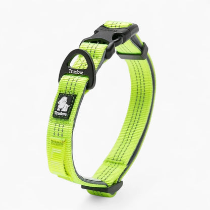 Luxeen-Dachshund-LED-Collar.jpg