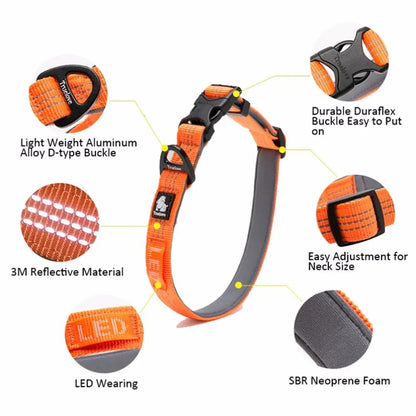 Luxeen-Dachshund-LED-Collar.jpg
