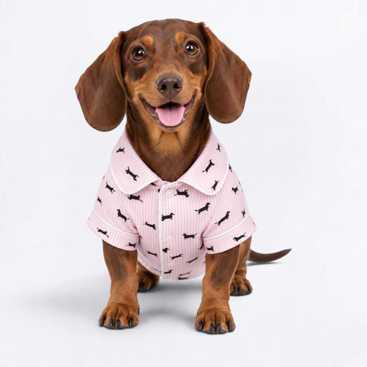 Princess – Matching Dachshund Pajamas | Soft Satin Pajamas