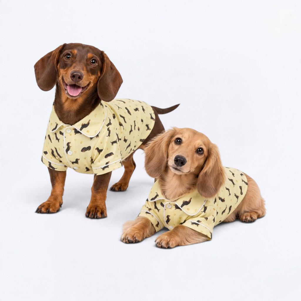 Cookie – Matching Dachshund Pajamas | Soft Satin Pajamas