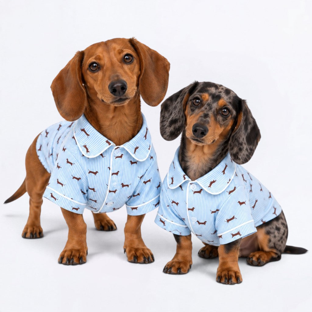 Zara  – Matching Dachshund Pajamas | Soft Satin Pajamas
