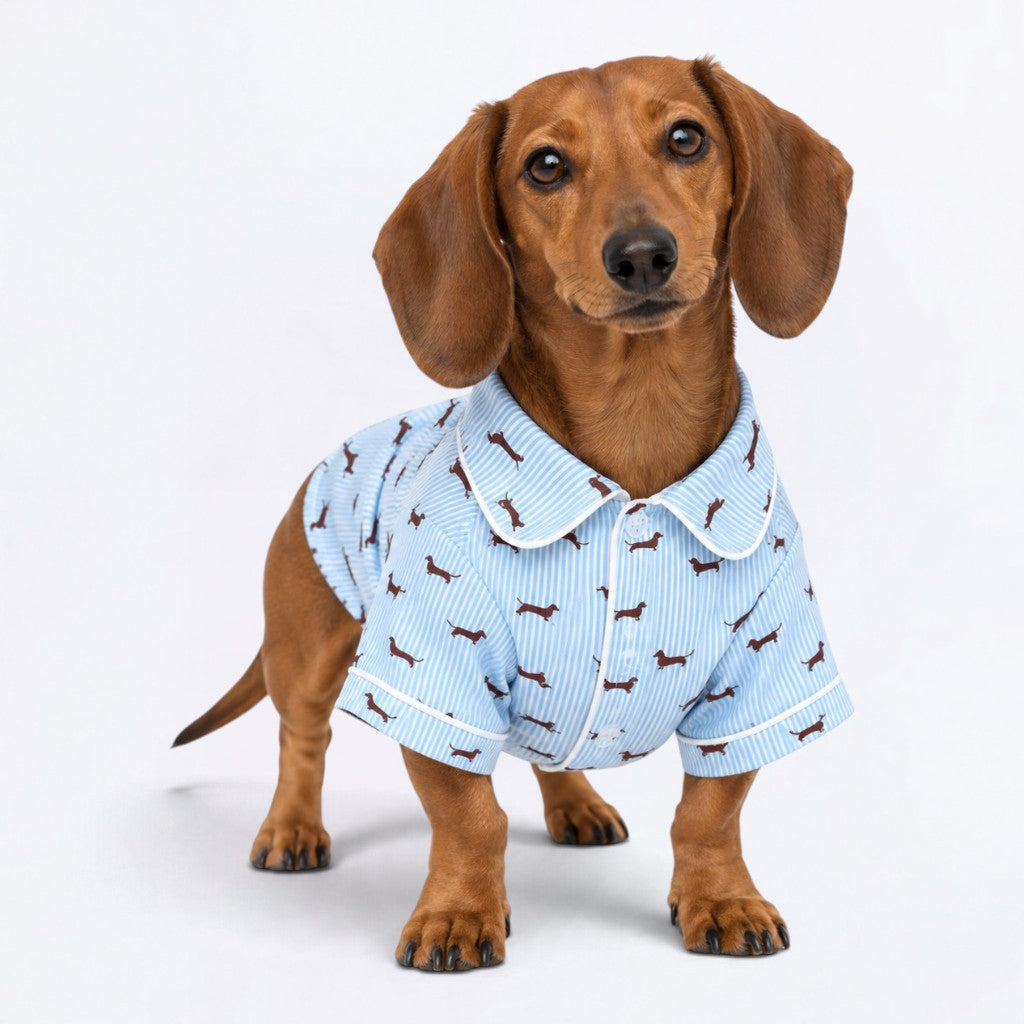 Zara  – Matching Dachshund Pajamas | Soft Satin Pajamas