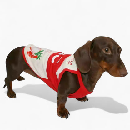 MilKish-Dachshund-Summer-Tank-Tops.jpg