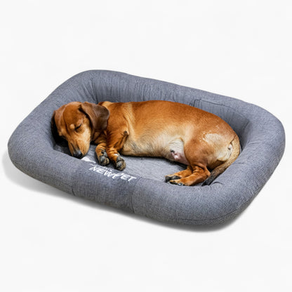 Napdox-Dachshund-Bed-Pad.jpg