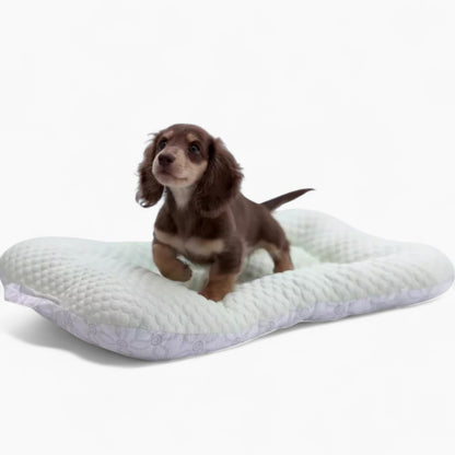 NipDox-Dachshund-Cooling-Pad.jpg