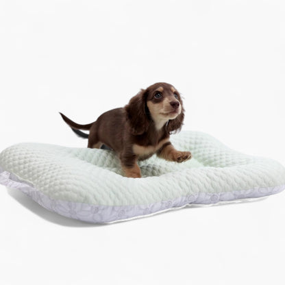NipDox-Dachshund-Cooling-Pad.jpg