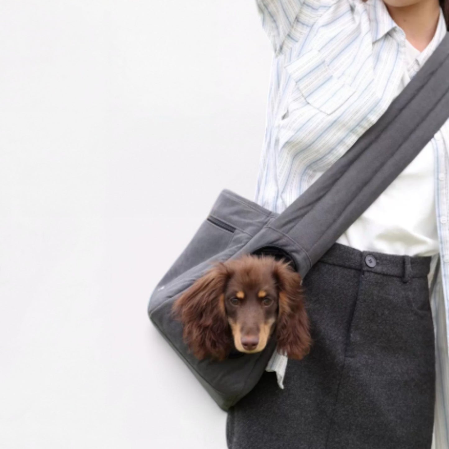 OutNest-Dachshund-Outing-Carrier.jpg