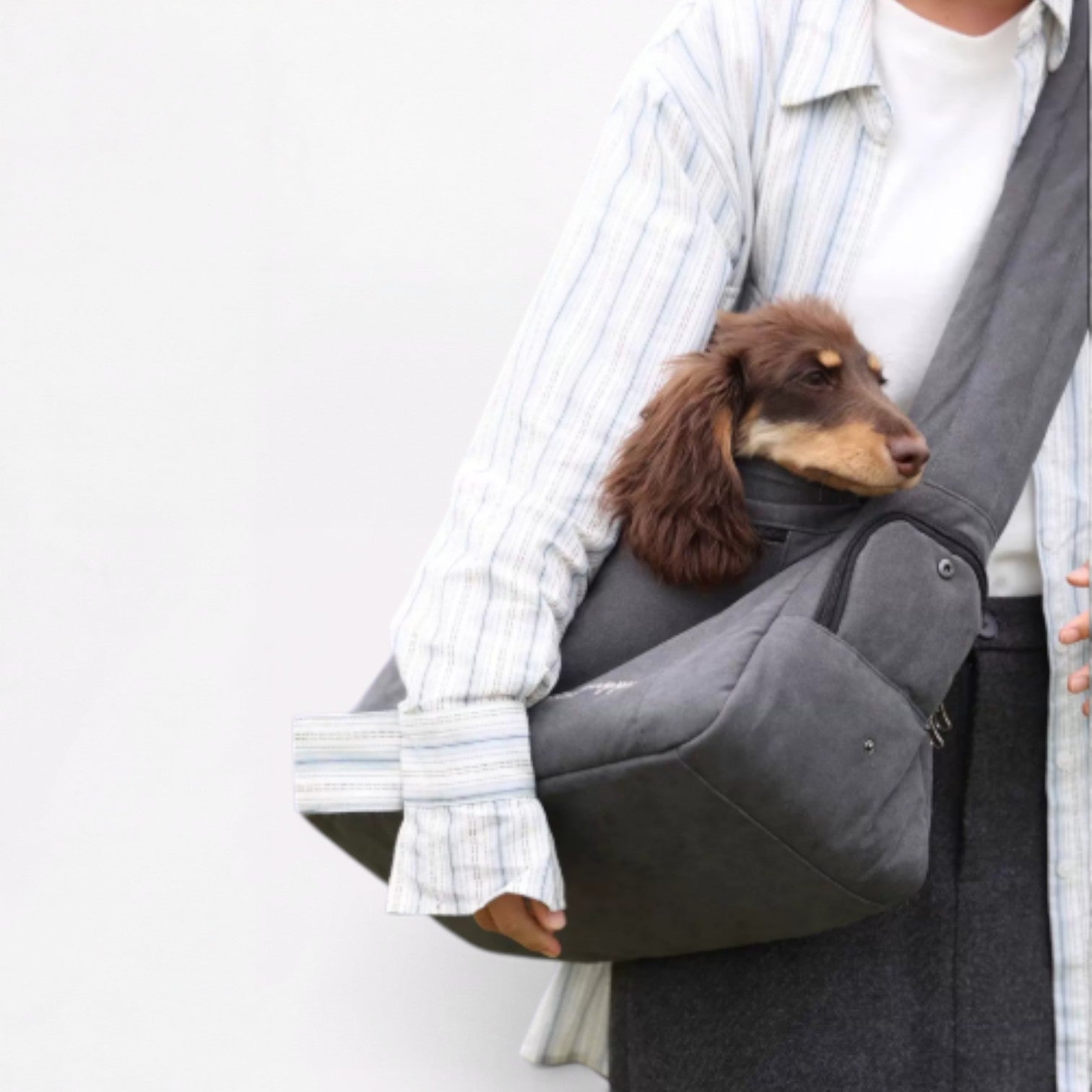 OutNest-Dachshund-Outing-Carrier.jpg
