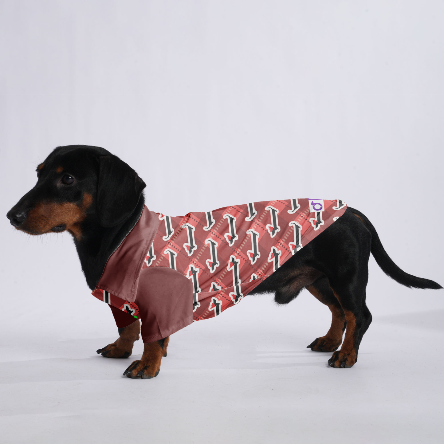 Sophie - Hawaiian Shirt for Doxies