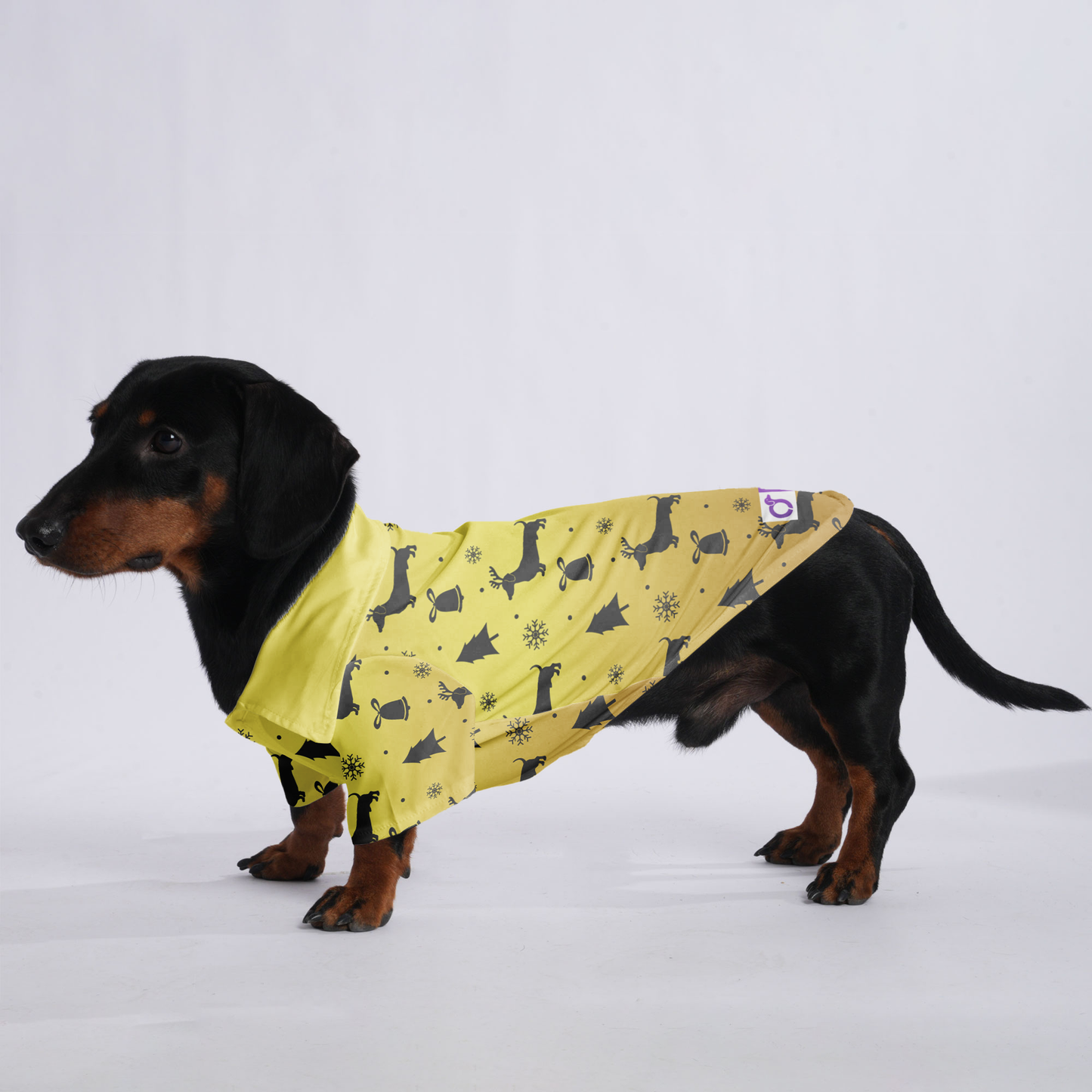 Cinnamon - Hawaiian Shirt for Doxies