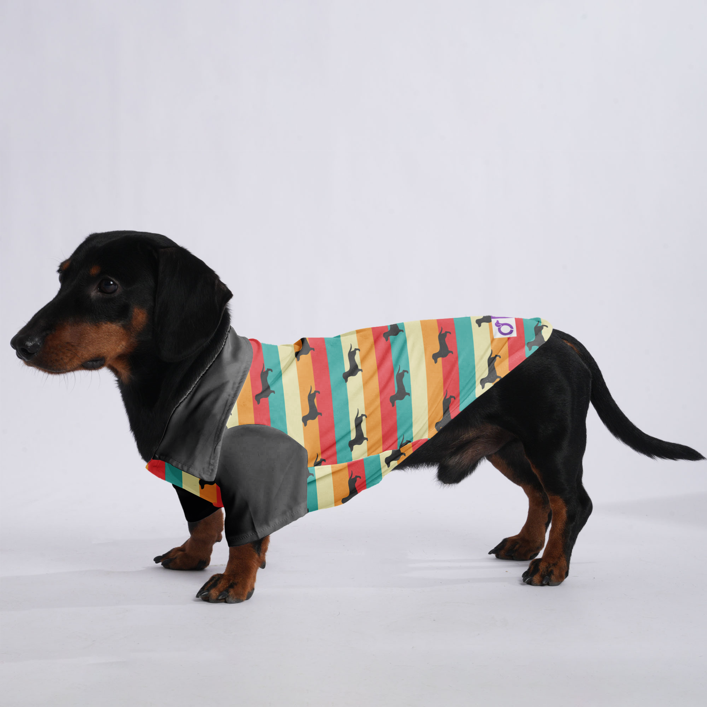 Simone- Hawaiian Shirt for Doxies