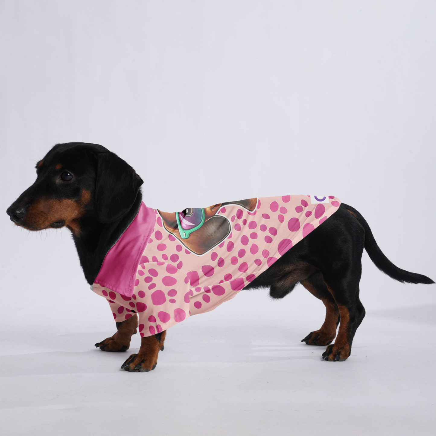 Rocky - Hawaiian Shirt for Doxies