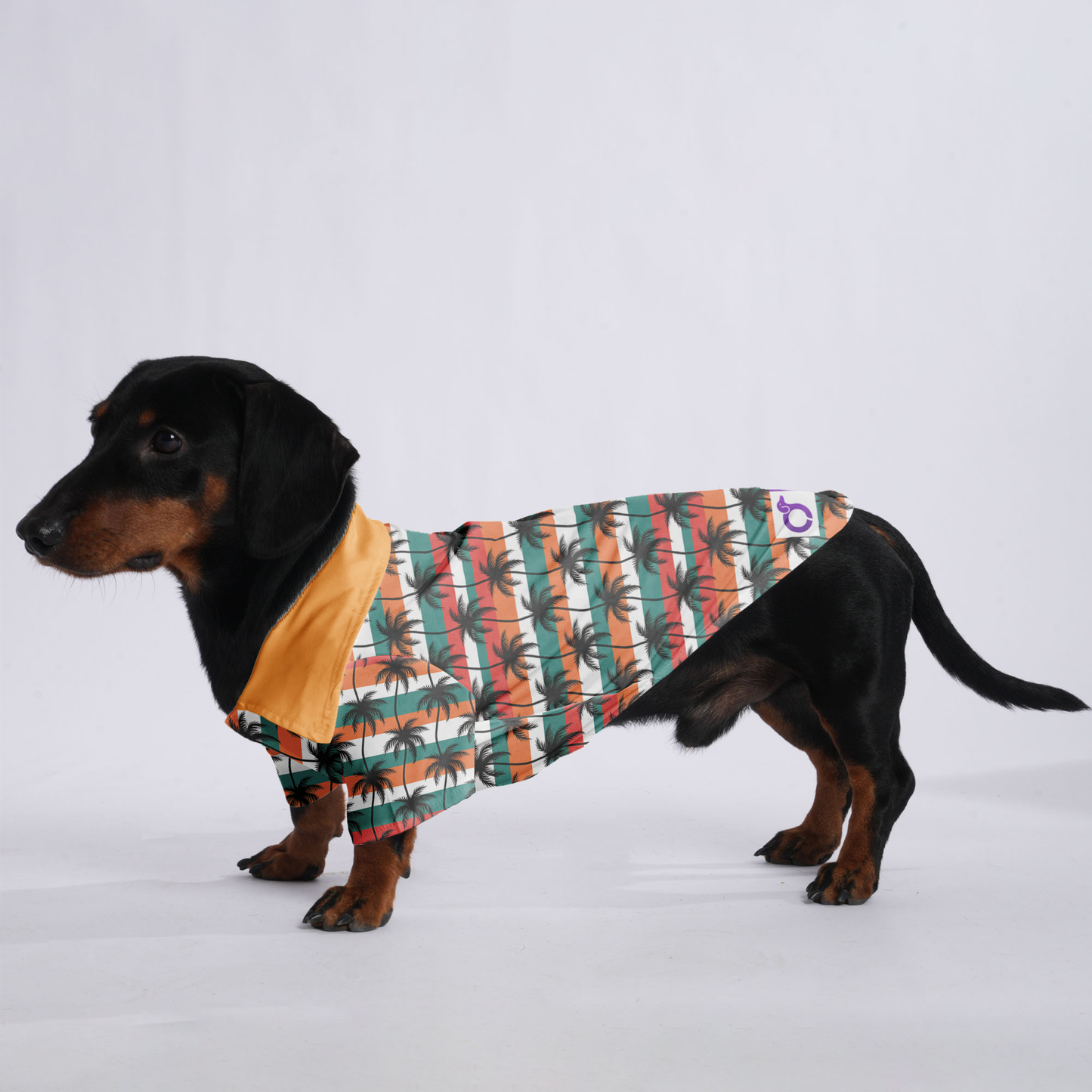 Bentley - Hawaiian Shirt for Doxies