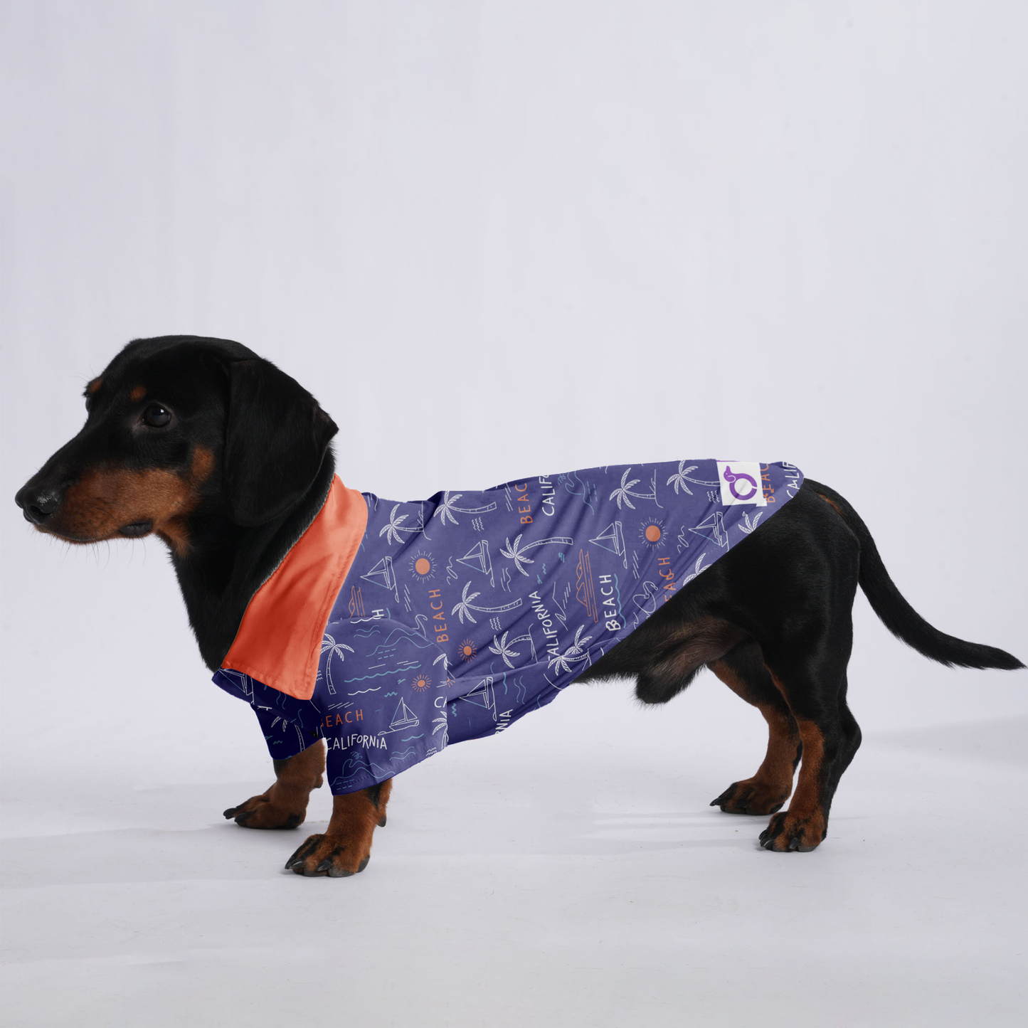 Stella - Hawaiian Shirt for Doxies