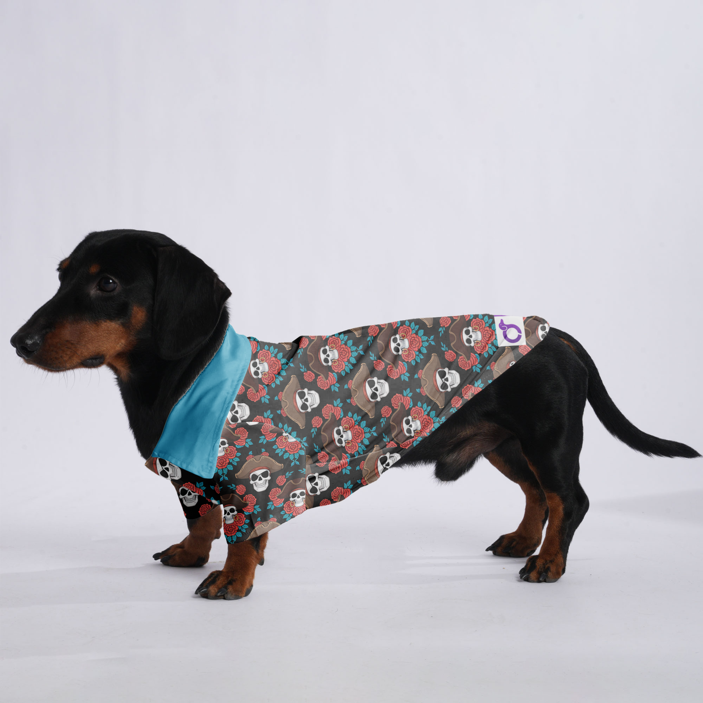 The Pirate - Hawaiian Shirt for Doxies