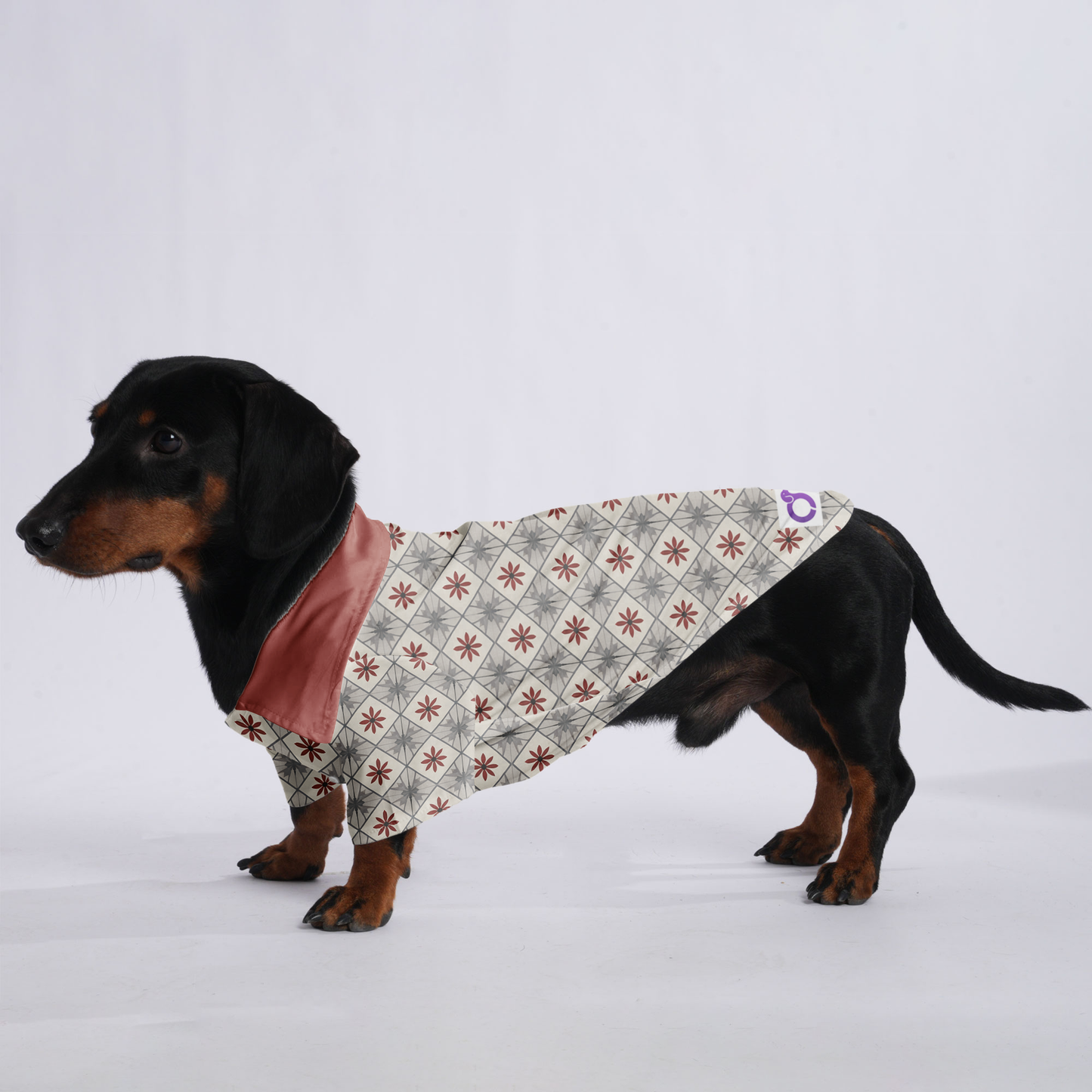 Bruno - Hawaiian Shirt for Doxies