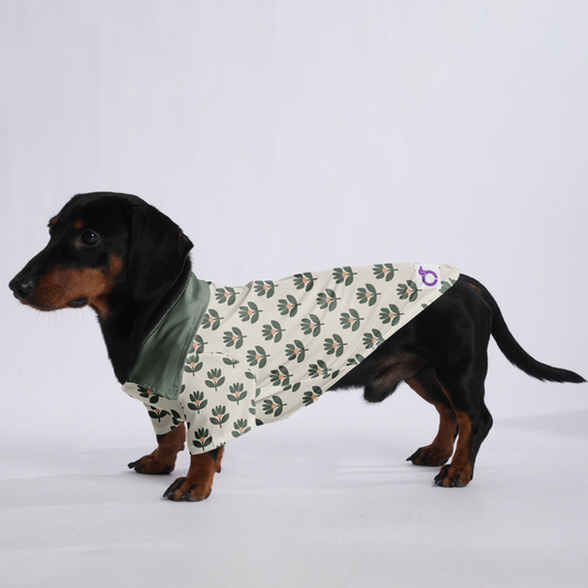 Penny - Hawaiian Shirt for Doxies