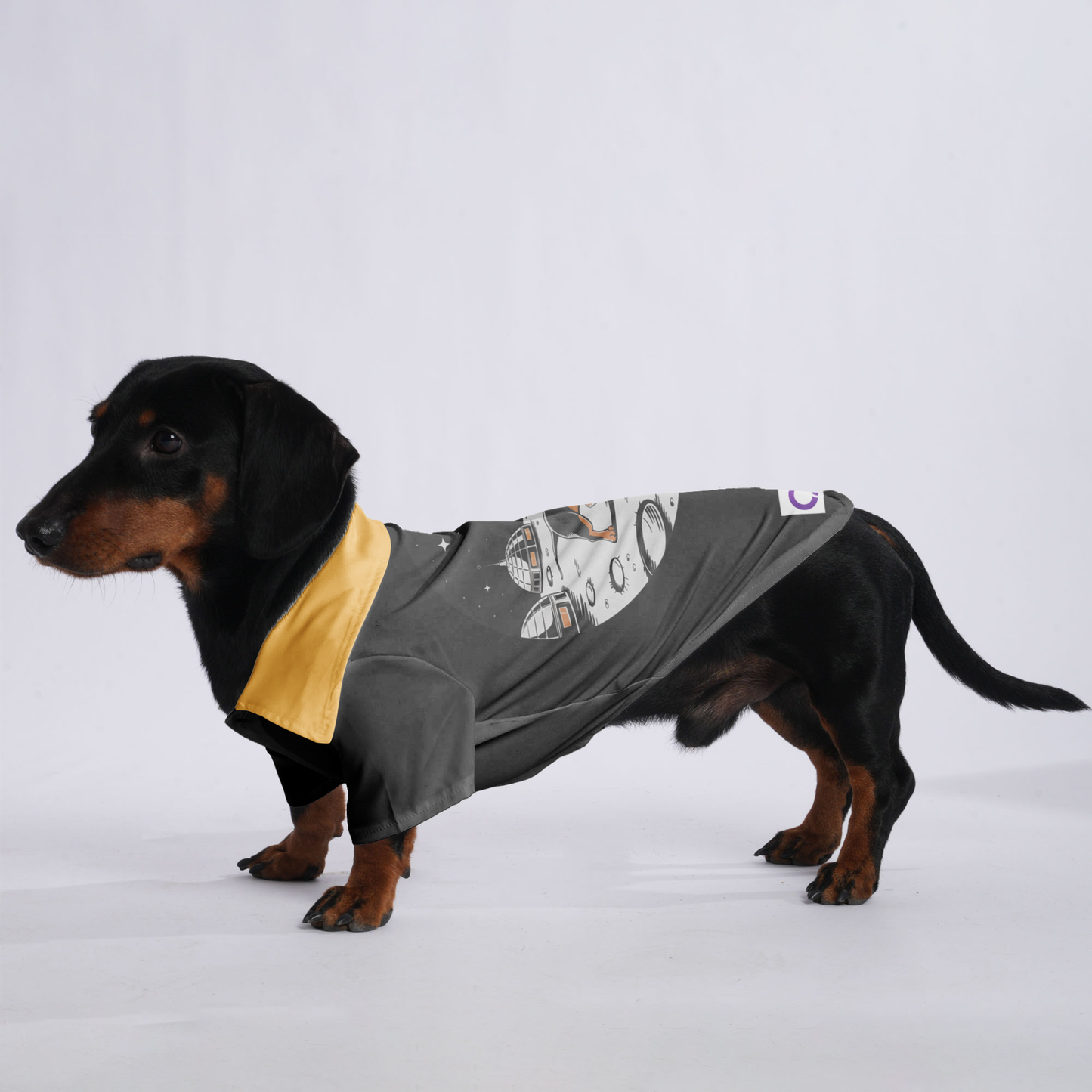 Coco - Hawaiian Shirt for Doxies