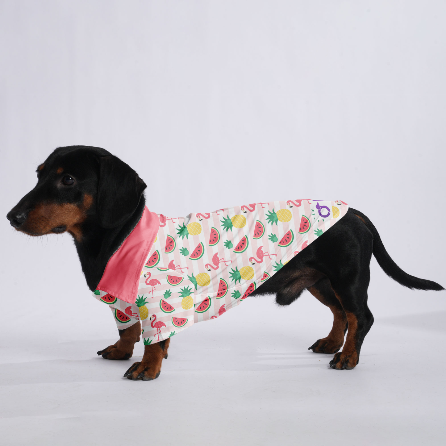 Lulu - Hawaiian Shirt for Doxies