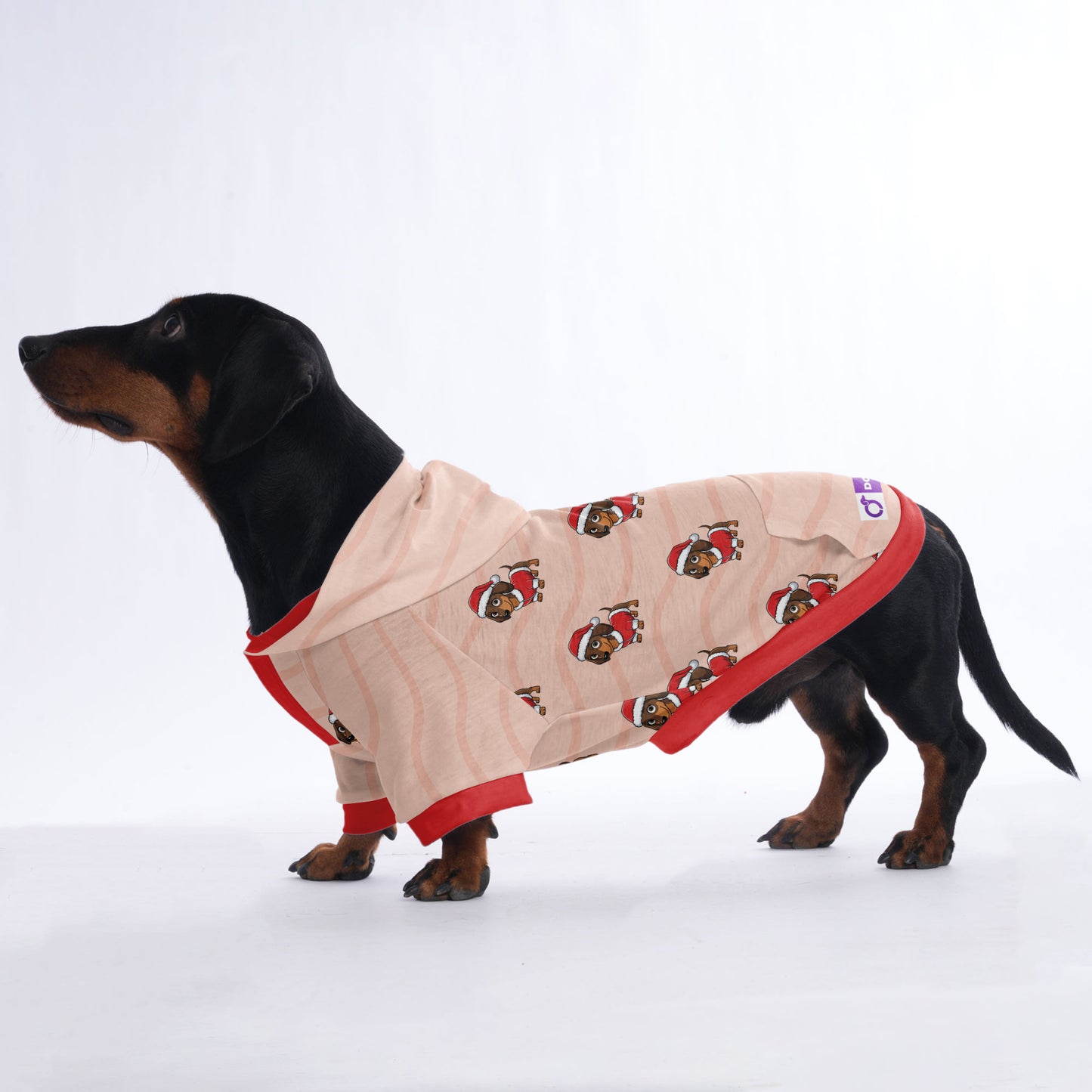 Oreo - Hoodies for Dachshunds