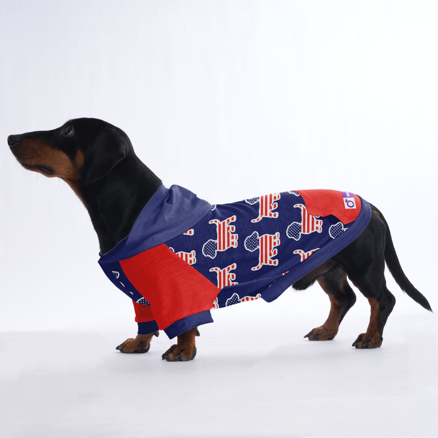 Lizzo - Hoodies for Dachshunds