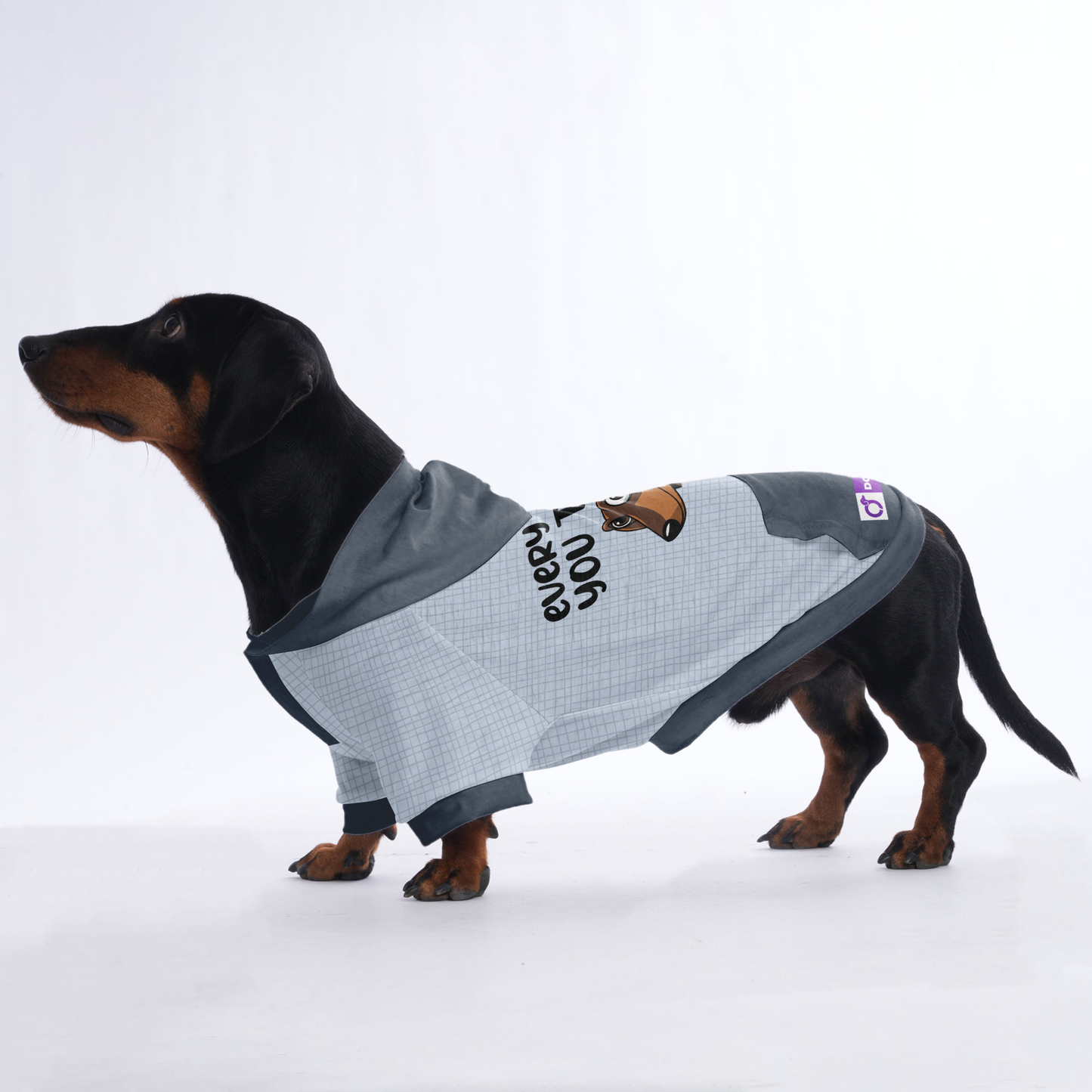 Every Bite you take - Hoodies for Dachshunds