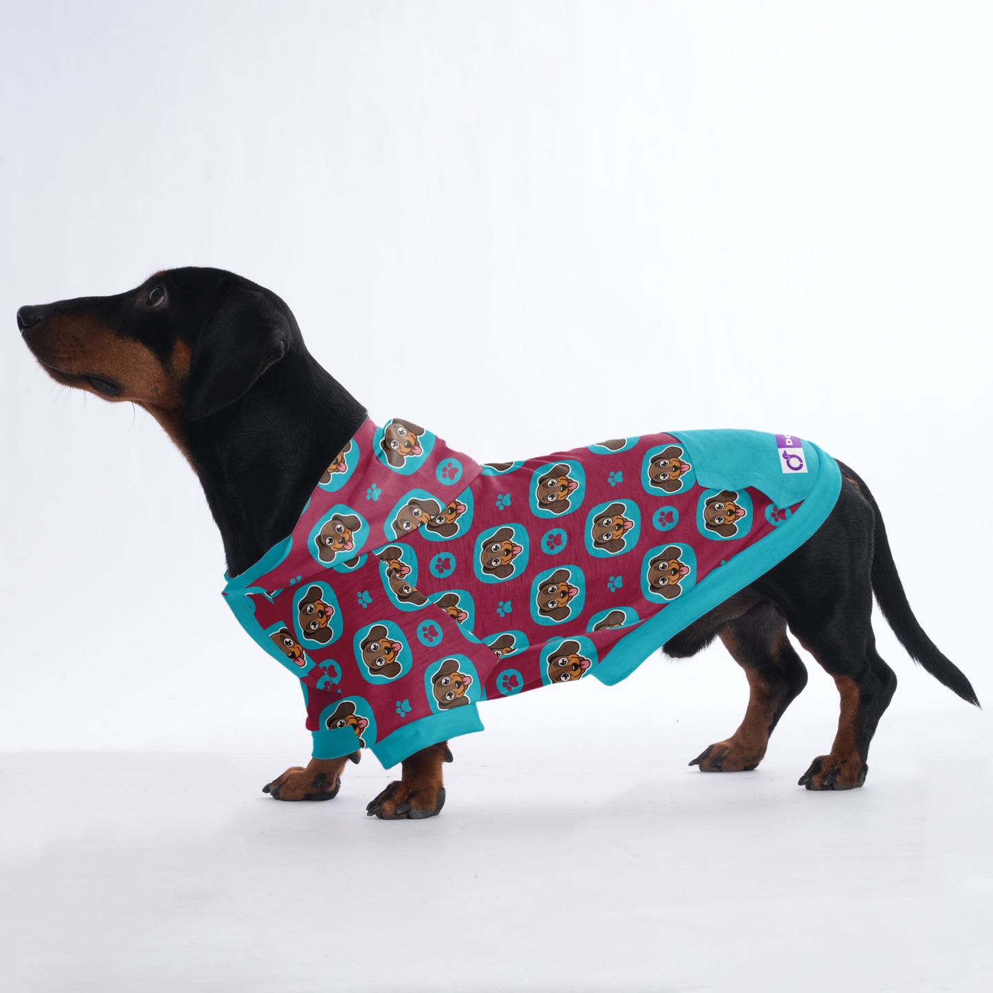 Riley - Hoodies for Dachshunds