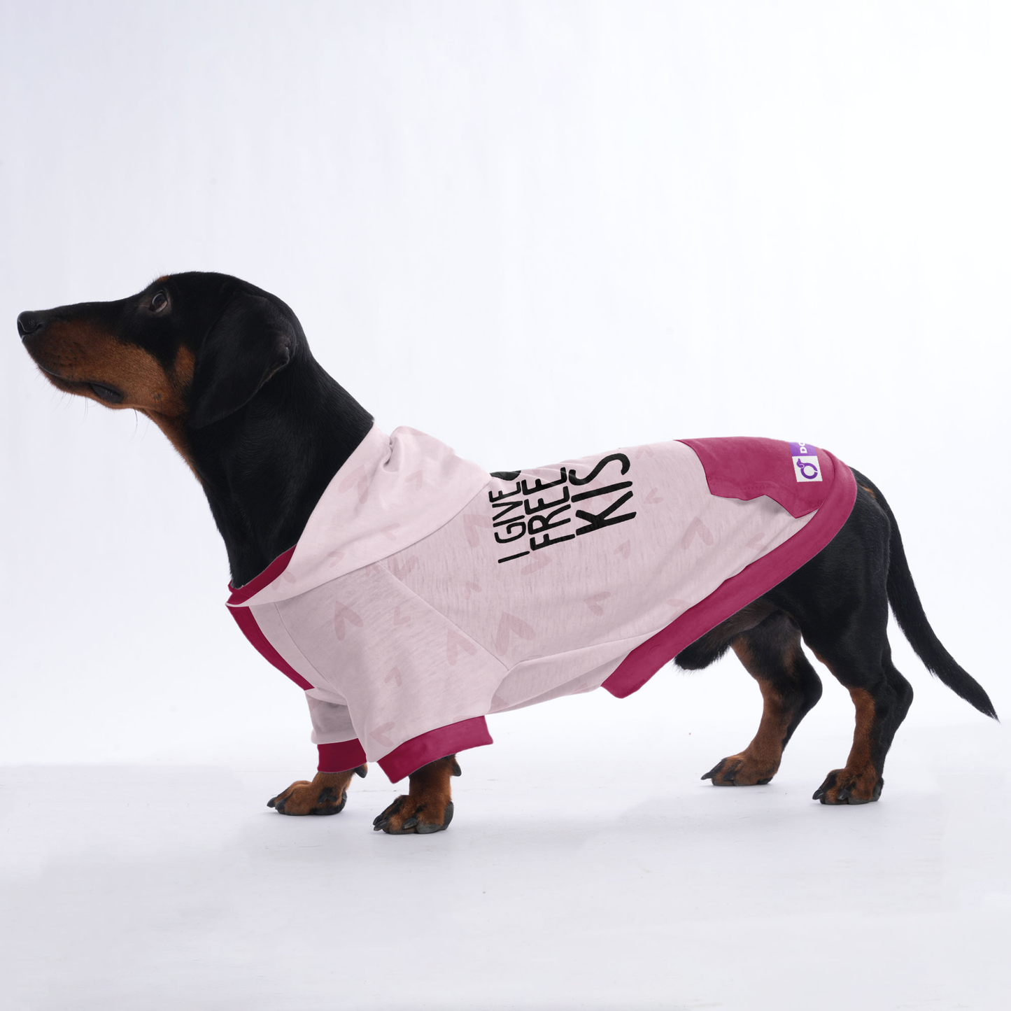 I give free kisses - Hoodies for Dachshunds