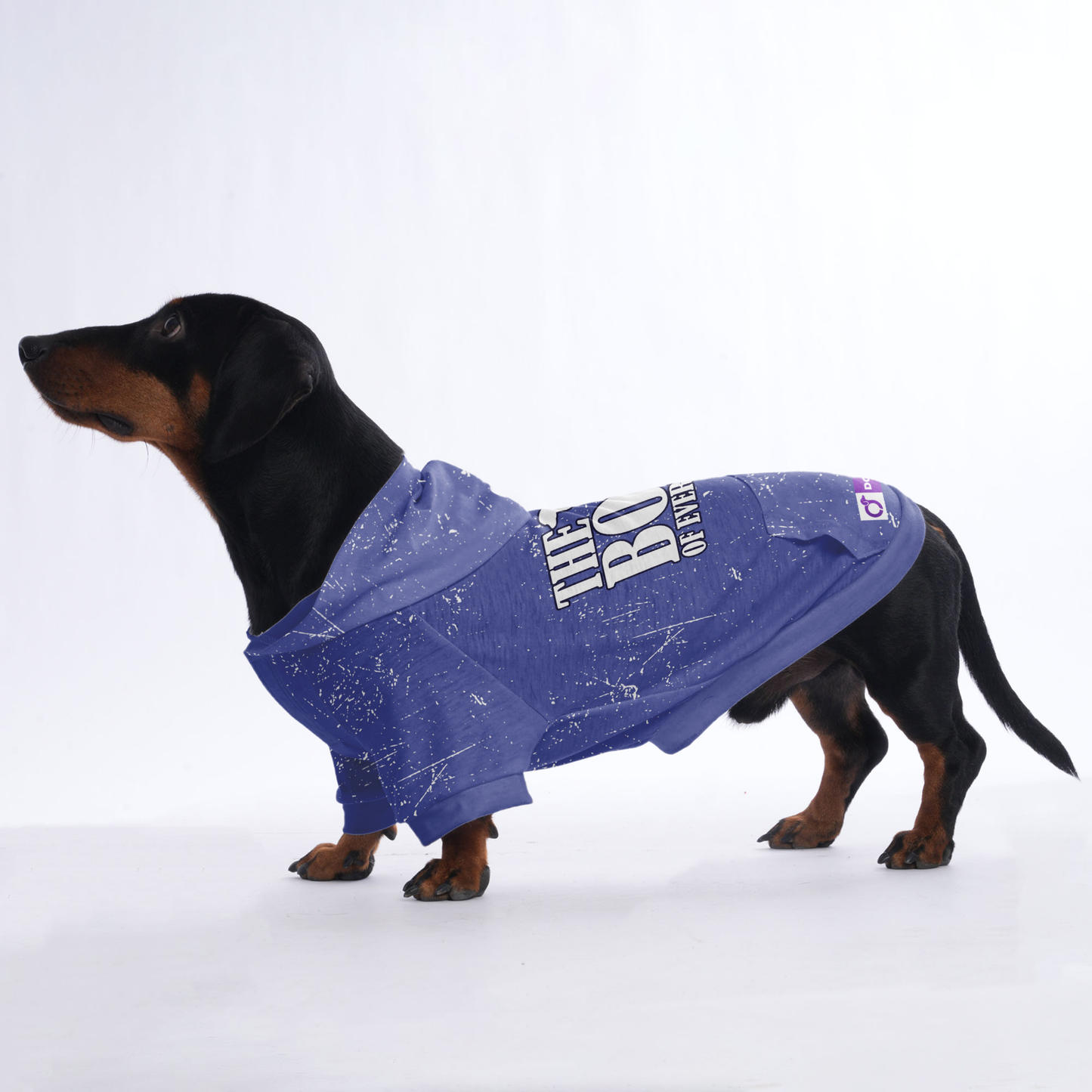 The boss of everything - Hoodies for Dachshunds