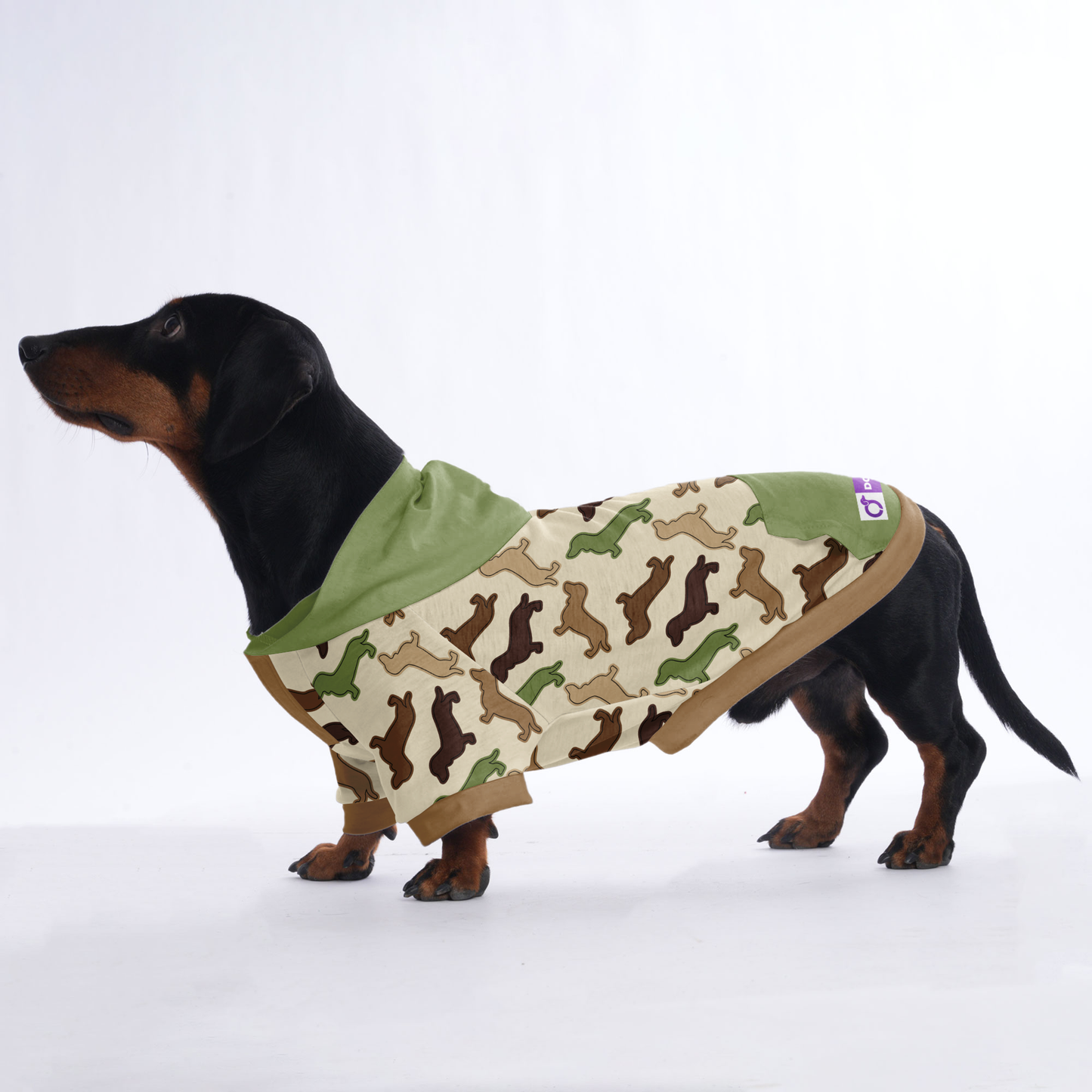 Ace - Hoodies for Dachshunds