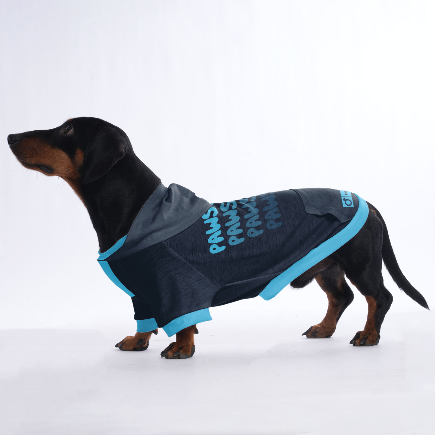 Pawsome - Hoodies for Dachshunds