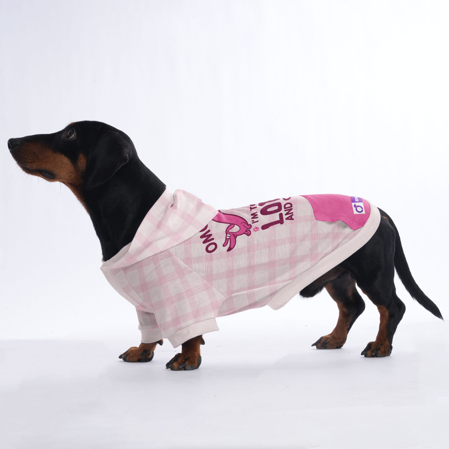 OMG , IM TOO LONG AND CUTE - Hoodies for Dachshunds