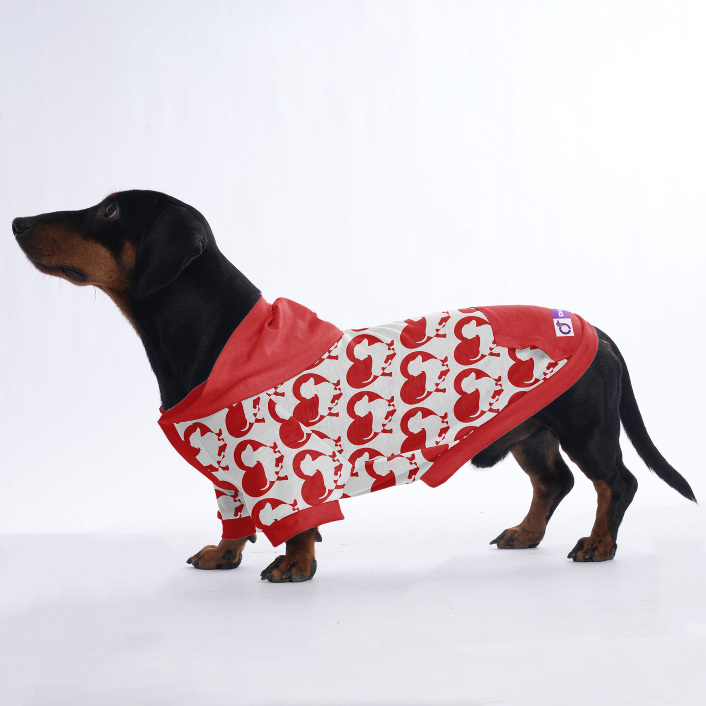 Jenkins - Hoodies for Dachshunds