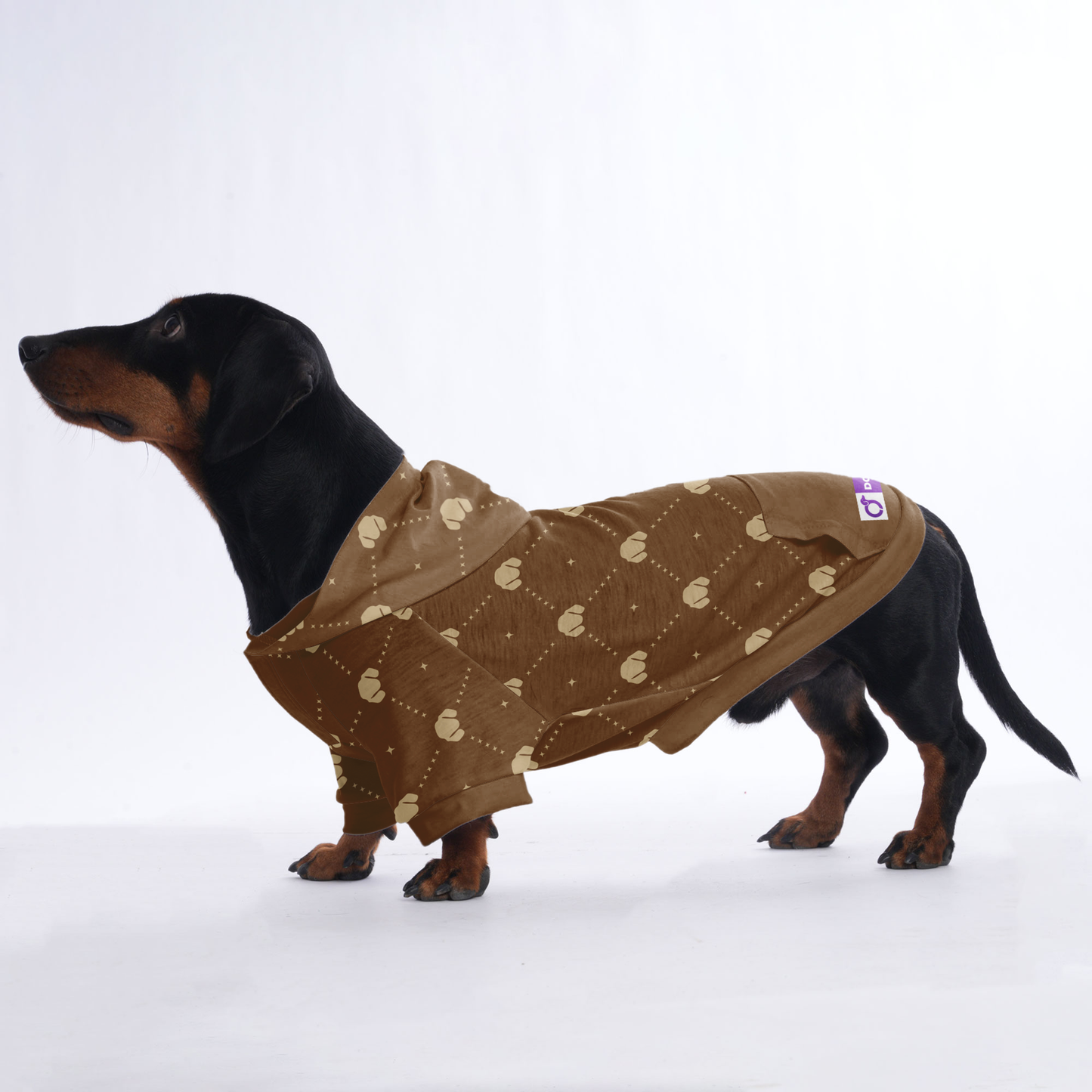 Sandra - Hoodies for Dachshunds