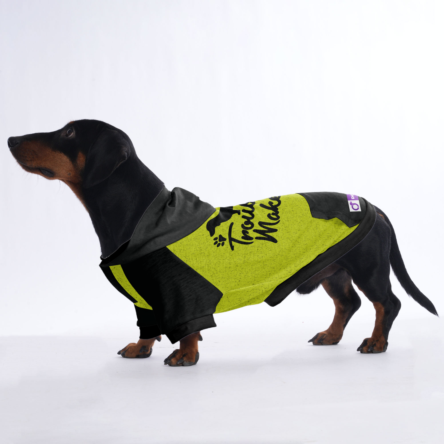 Trouble maker  - Hoodies for Dachshunds