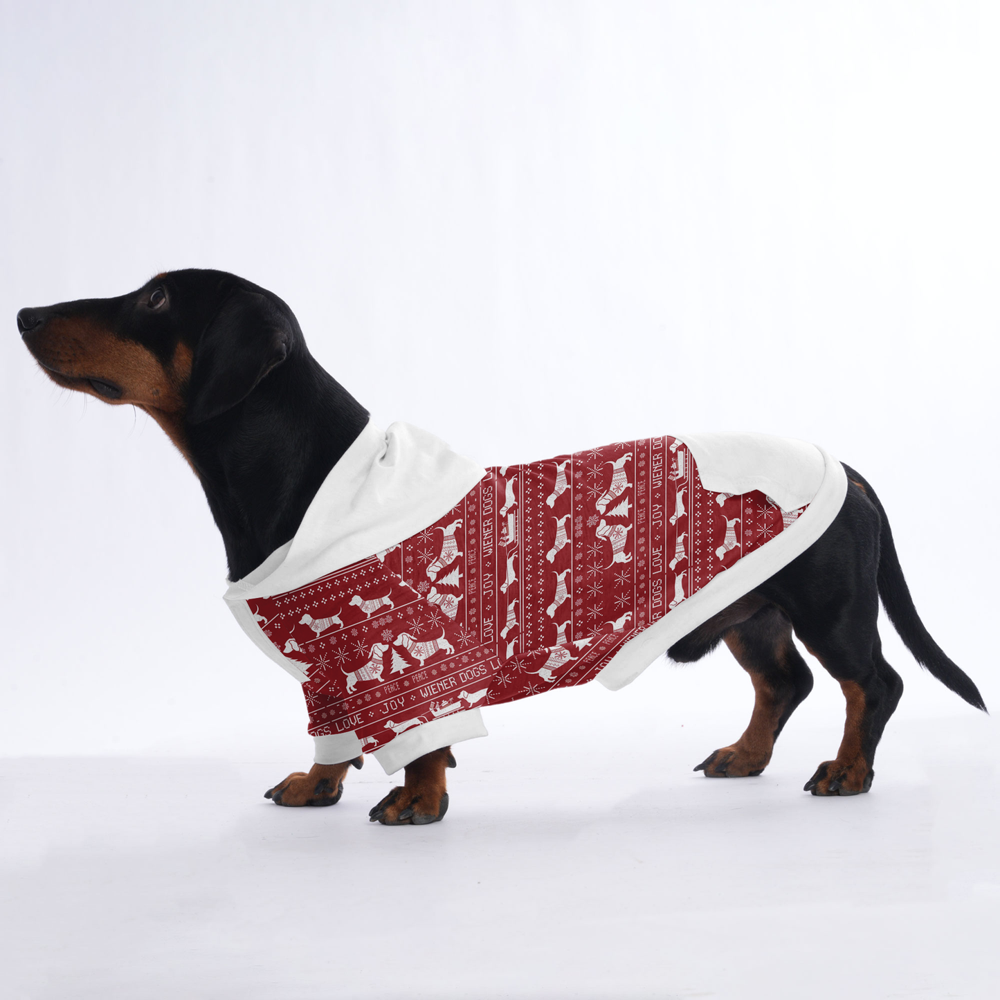 Cooper - Hoodies for Dachshunds