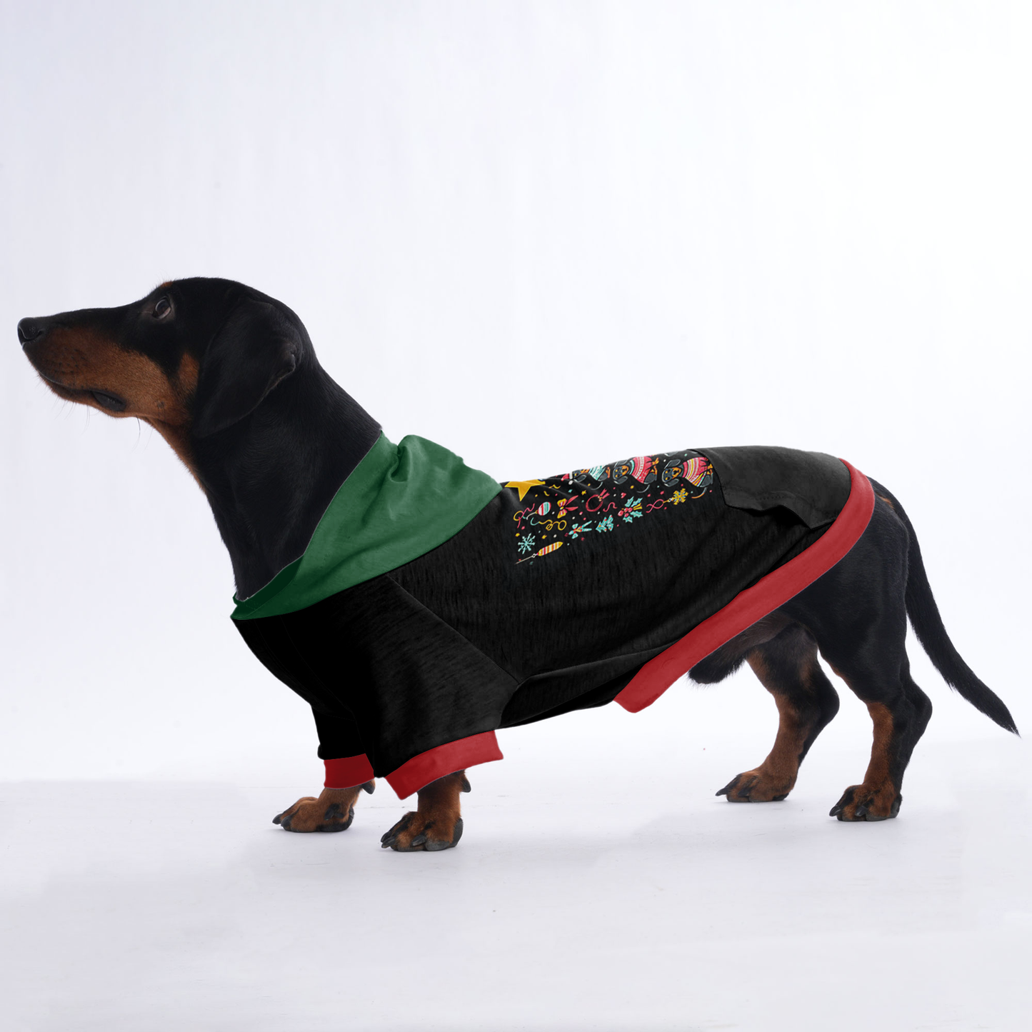 Luna - Hoodies for Dachshunds