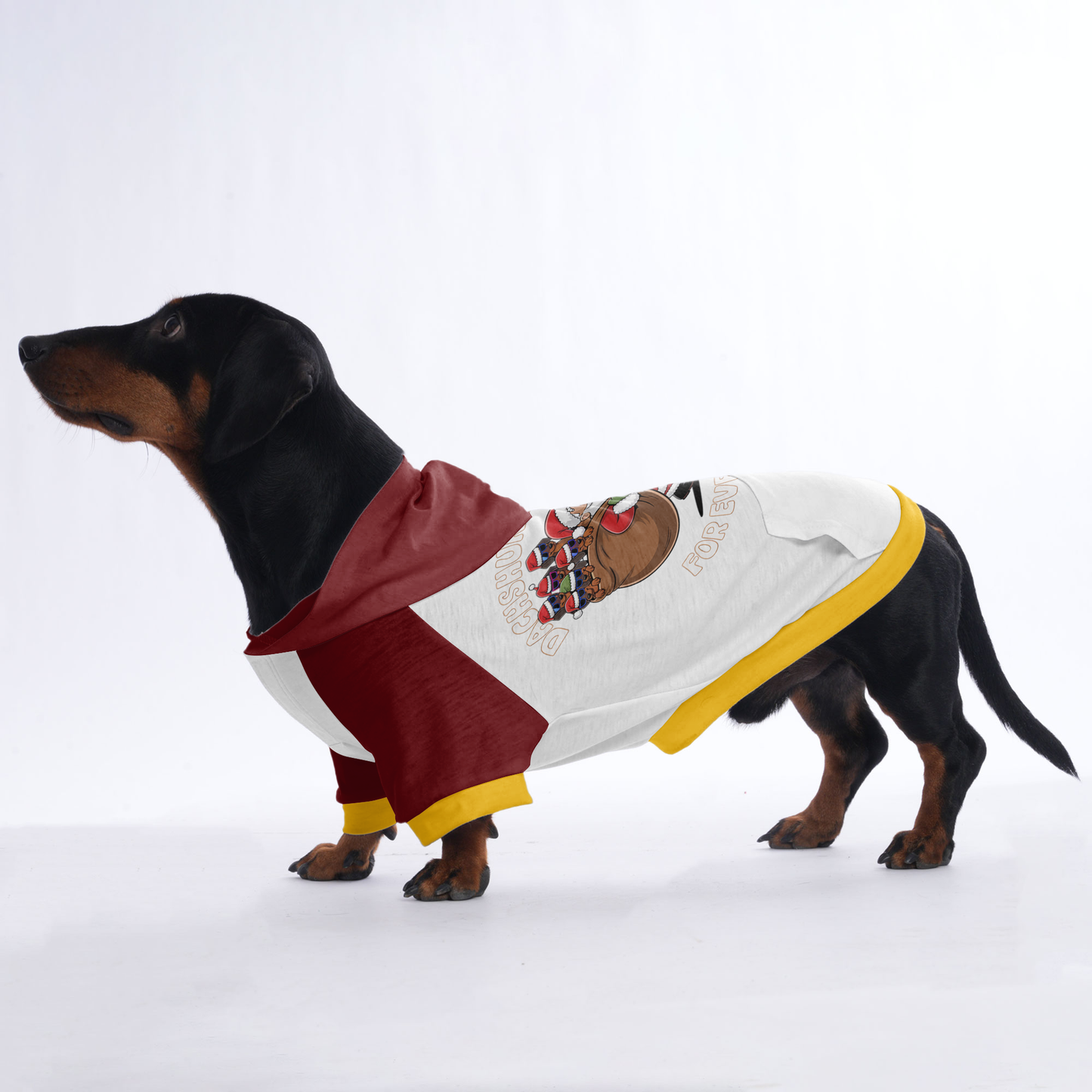 Max - Hoodies for Dachshunds