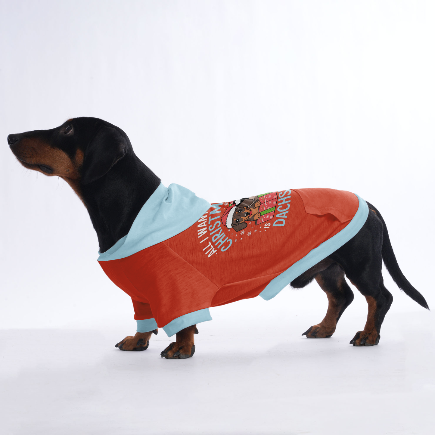 Charlie - Hoodies for Dachshunds