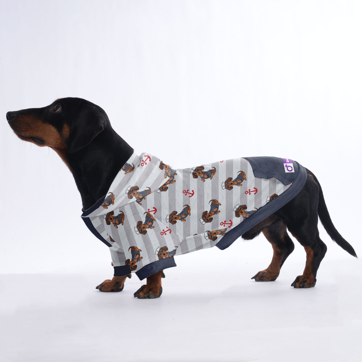 Ludwig  - Hoodies for Dachshunds