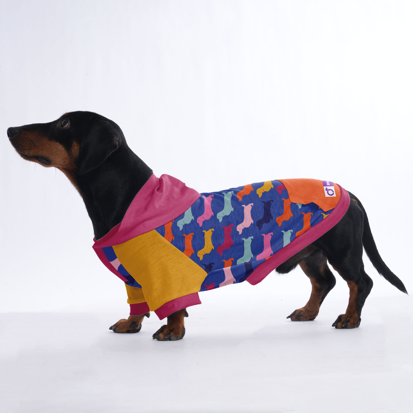 Inky - Hoodies for Dachshunds