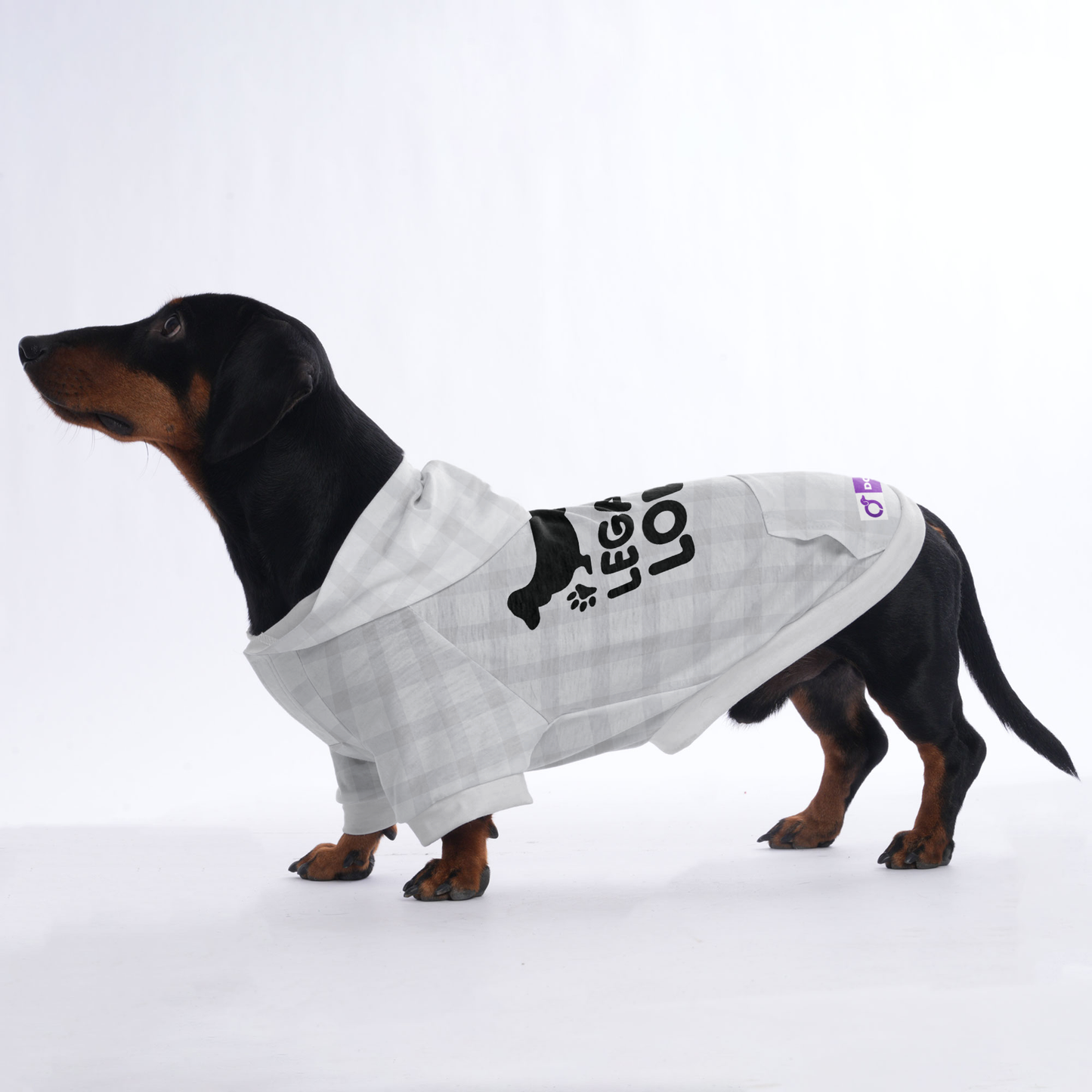 LEGALLY LONG  - Hoodies for Dachshunds