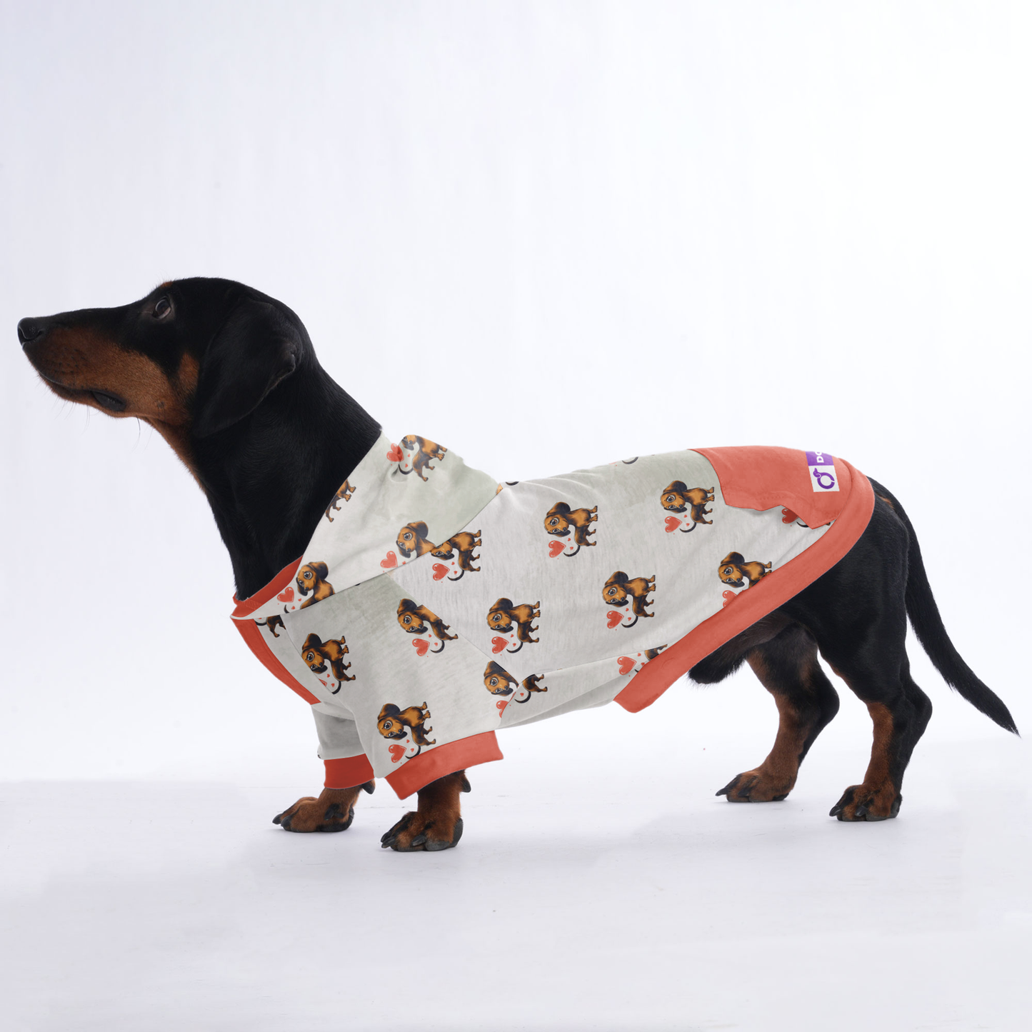 Ludwig - Hoodies for Dachshunds