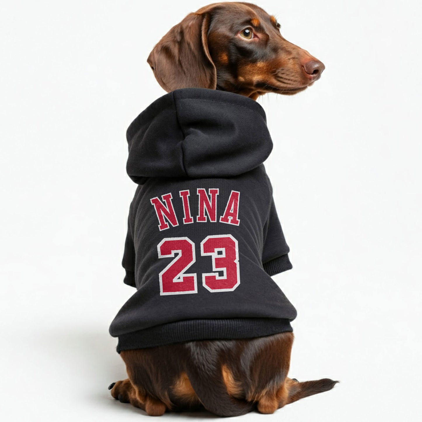 Nina - Personalized Dachshund Hoodies with your Doxie's name and number – Stylish, Cozy, and Premium 100% Cotton