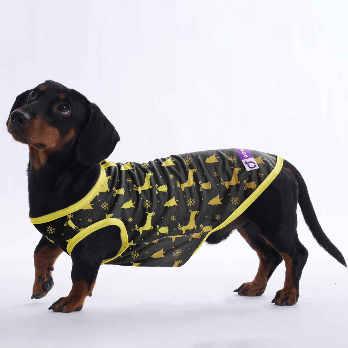 Travis -  Shirt for Dachshunds